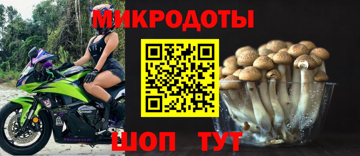 Отрадное  Псилоцибиновые грибы Magic Shrooms  Вход с VPN 