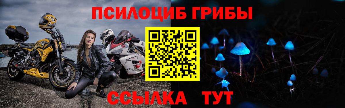 Галлюциногенные грибы MAGIC MUSHROOMS Отрадное