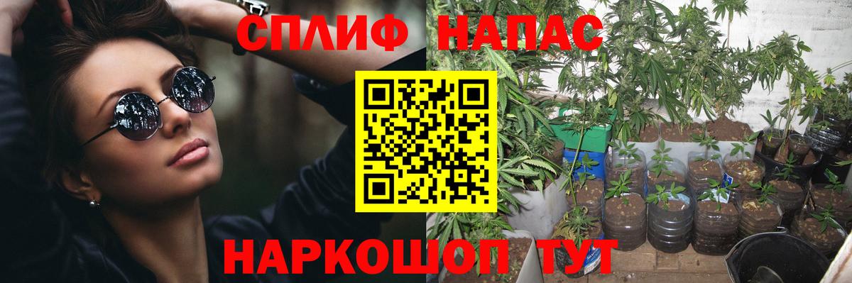 Отрадное  Бошки марихуана ГИДРОПОН  Конопля планчик  Вход с VPN  Конопля White Widow 